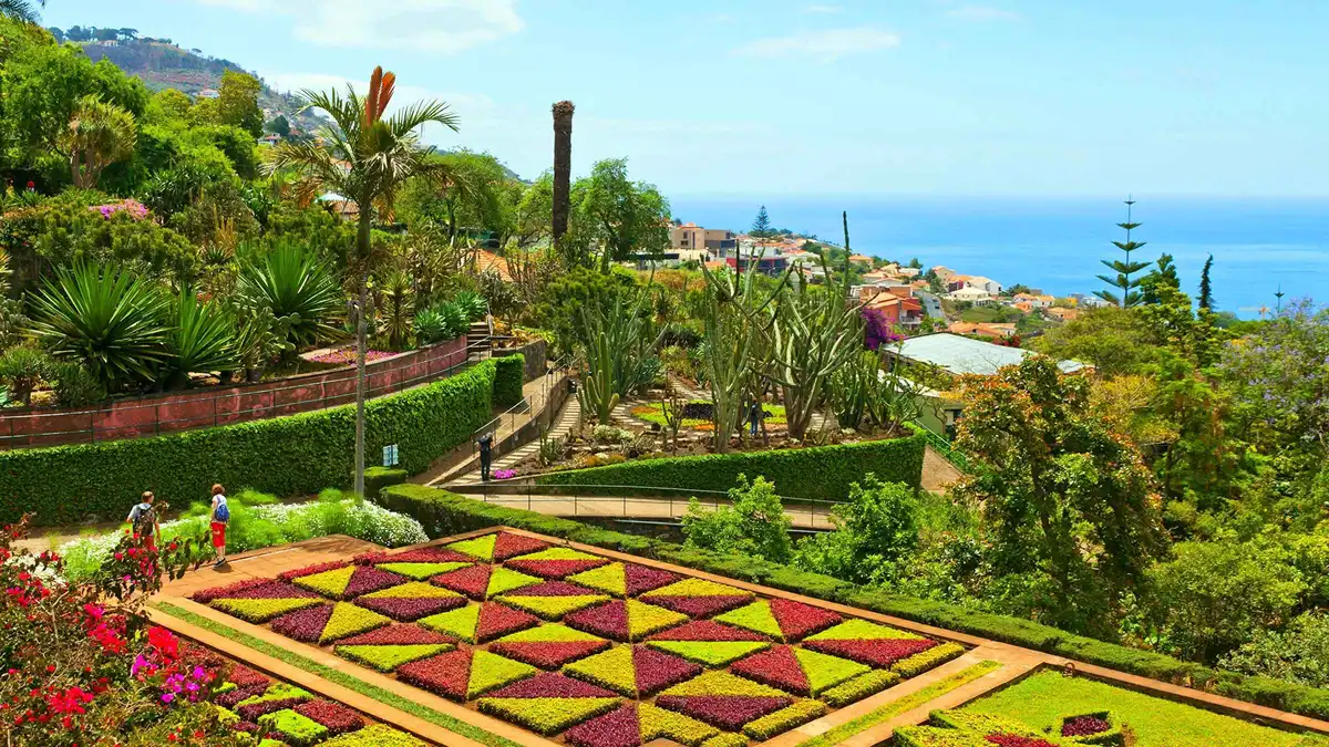 A tuk-tuk parked among tropical plants at the Madeira Botanical Garden on a botanical garden tuk-tuk tour in Funchal, Portugal