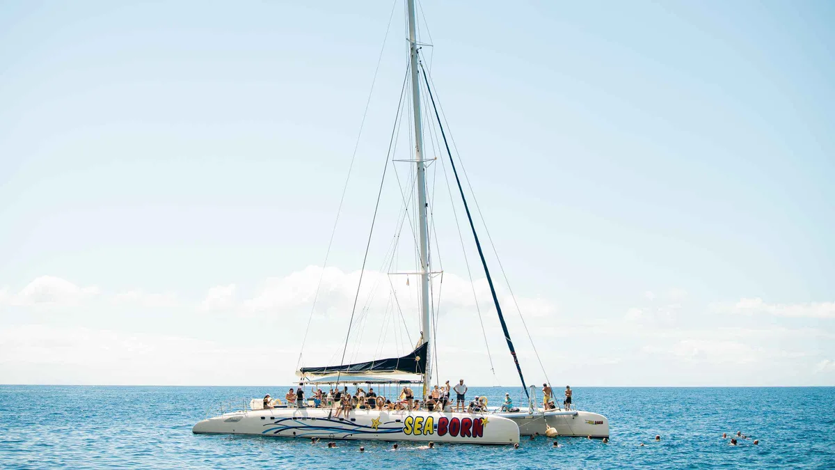 Passengers on the bow net of a catamaran scanning the water for dolphins on a Funchal dolphin and whale watching catamaran cruise in Funchal, Madeira