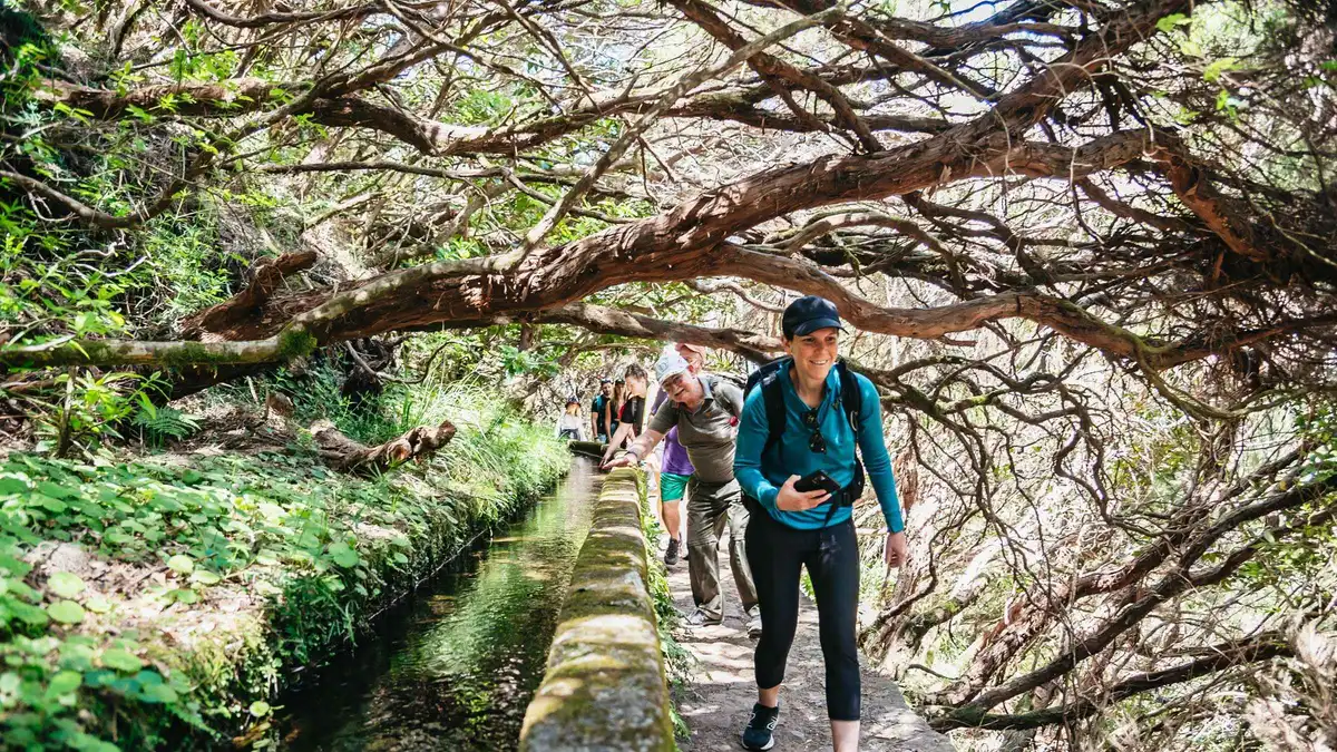 A narrow stone levada channel path through ferns and laurel forest on a Rabaçal Valley levada walk in Rabaçal, Madeira, from Funchal, Portugal