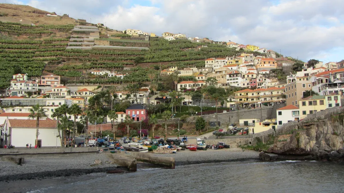 Fishing boats on the shore below terraced vineyards and colourful houses in Câmara de Lobos, near Funchal, Madeira