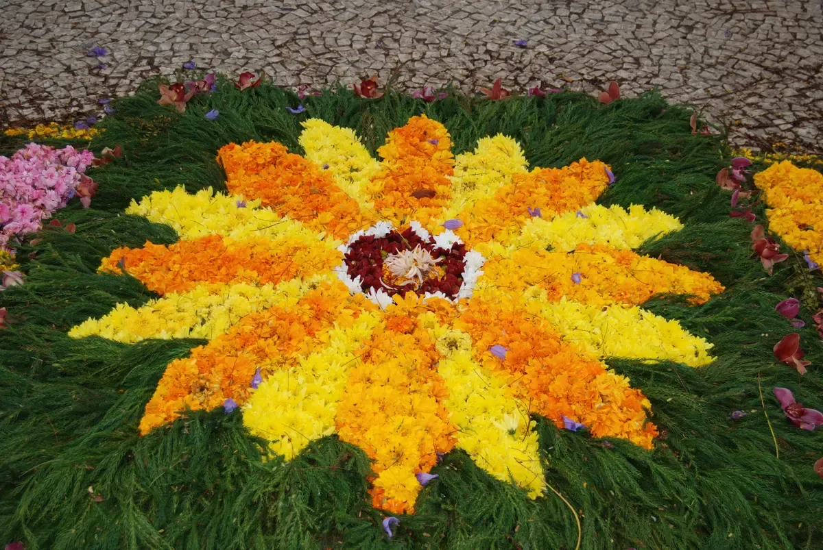 A flower carpet design made for the Flower Festival in Funchal, Portugal
