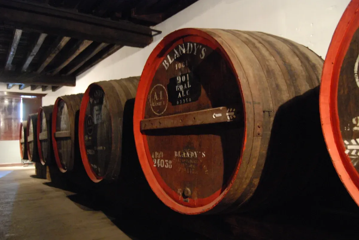 Aging Madeira wine casks in a Funchal wine lodge, part of the wine tasting stop on Funchal food tours