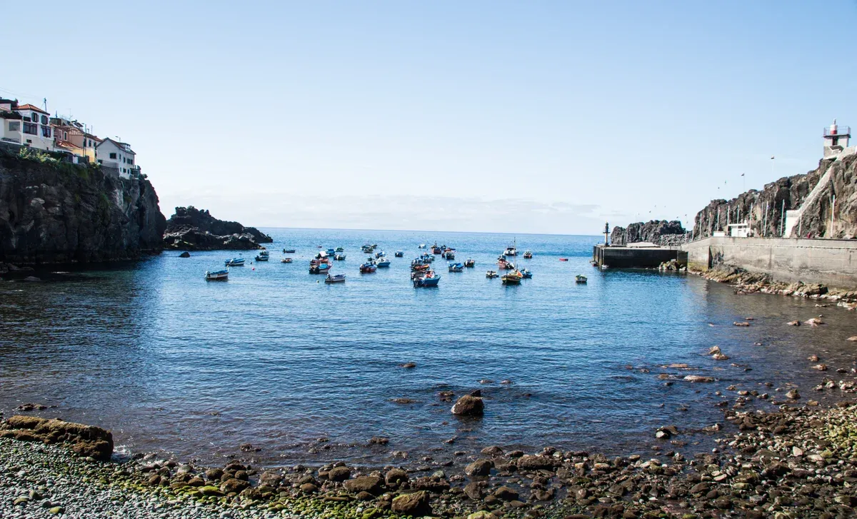 Fishing boats anchored in the harbour at Camara de Lobos near Funchal, Madeira, a stop on day three of a Funchal itinerary