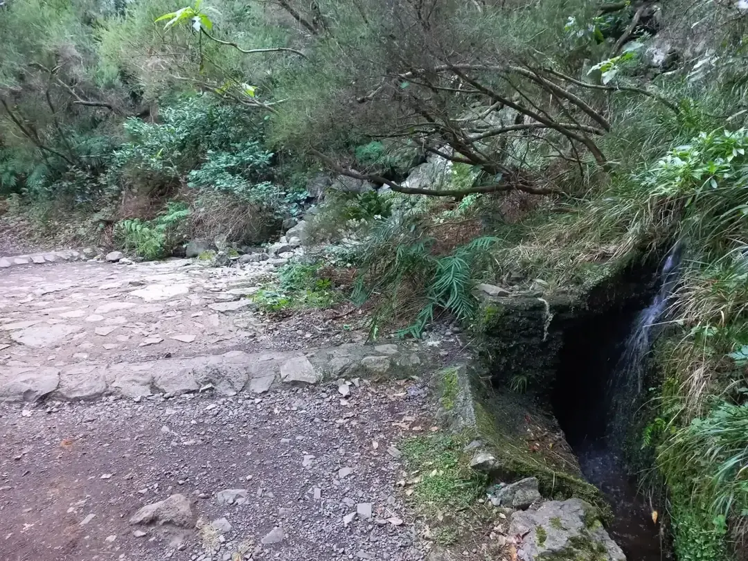 A stone footpath running beside the Levada do Risco water channel through forest near Rabaçal, Madeira