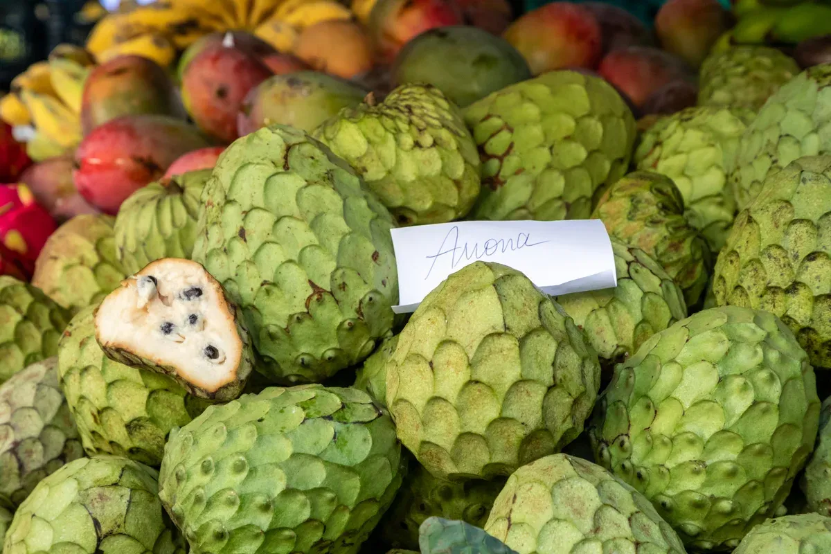 Fresh anona and mango fruit at a market stall in Funchal, Portugal