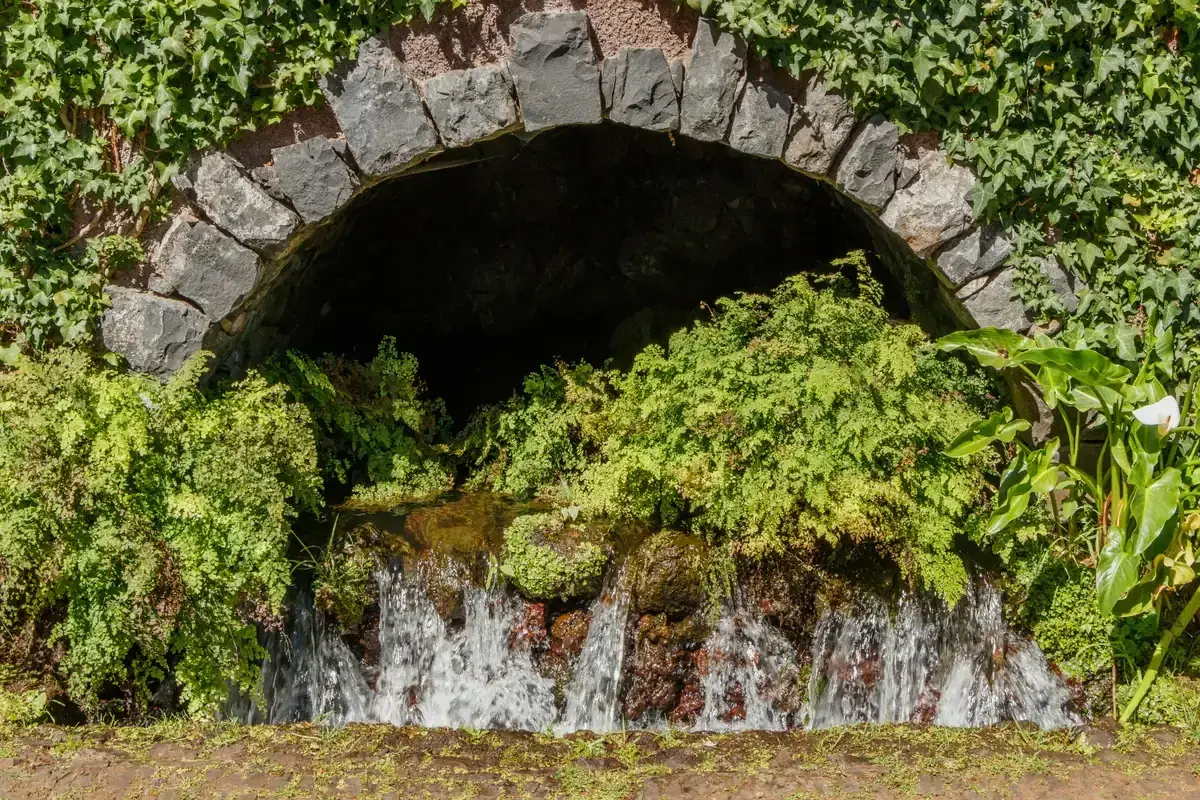 A stone grotto fountain with ferns and flowing water in Monte Palace Tropical Garden near Funchal, Madeira