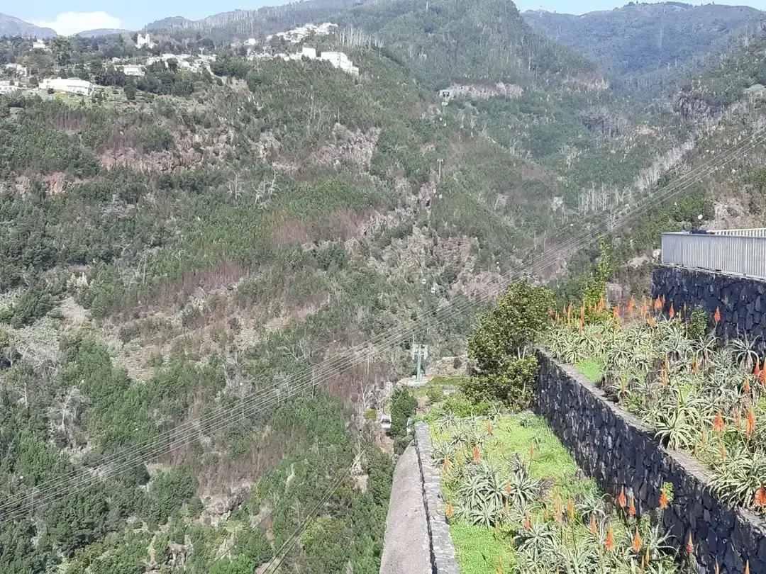 The Funchal cable car line crossing a wooded valley to Monte with the botanical garden cable car route visible, Madeira