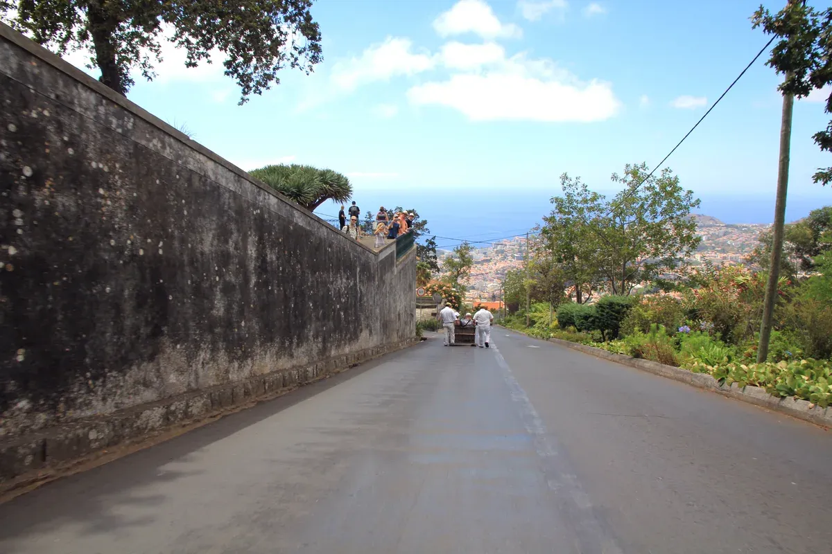 Carreiros steering a Monte toboggan down a road above Funchal with the city and sea in view, Madeira